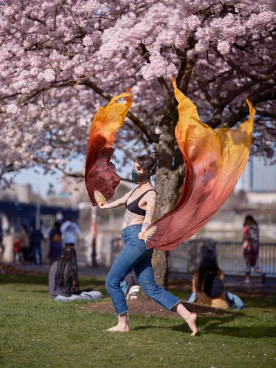 A masked performer gracefully moves with flowing silk scarves in vibrant sunset hues of orange and crimson beneath the full canopy of blooming cherry trees at Tom McCall Waterfront Park. The delicate pink blossoms create a dreamlike backdrop as scattered visitors enjoy the seasonal display on the grass behind her. The dancer's fluid motion captures the ephemeral beauty of Portland's spring cherry blossom season in this urban riverside setting.