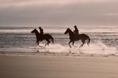 Silhouetted Riders Thunder Along Wheeler Beach