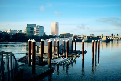 The afternoon light bathes Portland's Central Eastside marina in golden hues, where weathered wooden pilings stand sentinel in the calm waters of the Willamette River. A floating dock extends into the mirror-like surface, reflecting the skyline of glass towers and the iconic Morrison Bridge. The serene waterfront scene captures the peaceful riverside atmosphere, with wispy clouds drifting across the pale blue sky above Oregon's largest city.