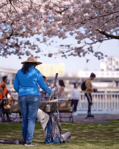 Artist Captures Cherry Blossoms at Tom McCall Park