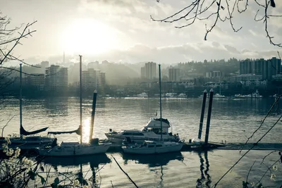Misty Harbor Afternoon at Portland Marina