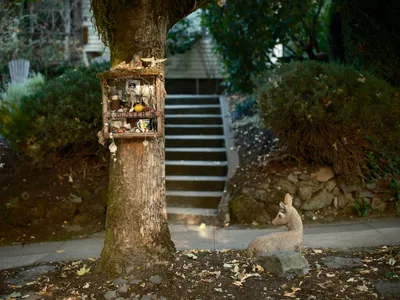 A deer figure rests peacefully on a sidewalk in Portland's Richmond neighborhood, positioned near a whimsical fairy house shrine mounted on an ancient tree trunk. The weathered wooden structure, adorned with moss and miniature treasures, creates an enchanting focal point against the backdrop of stone steps and residential architecture. Dappled afternoon light filters through the canopy, casting gentle shadows across this charming art installation where decorative elements meet neighborhood folk art.