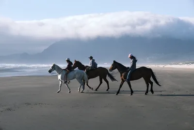 Coastal Riders Along Wheeler's Misty Shore