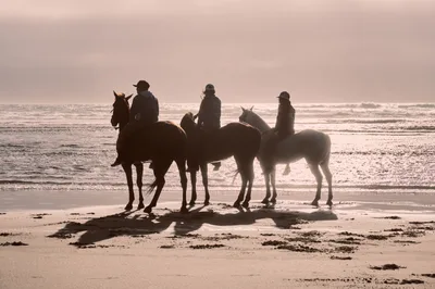 Riders Pause at Wheeler Beach Sunset